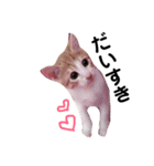 れんたんの日常（個別スタンプ：8）