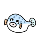 お魚さんズ（個別スタンプ：1）