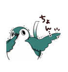 もちドリ（個別スタンプ：37）