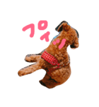 トイプードルのブラウニー（個別スタンプ：5）