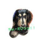 もか☆日常生活（個別スタンプ：6）