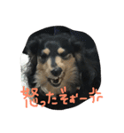 もか☆日常生活（個別スタンプ：14）