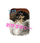 もか☆日常生活（個別スタンプ：15）