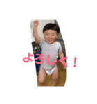 凰すけスタンプ（個別スタンプ：25）