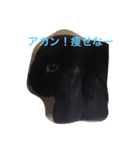 モコモ（個別スタンプ：2）