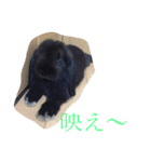 モコモ（個別スタンプ：4）
