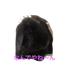 モコモ（個別スタンプ：6）