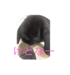 モコモ（個別スタンプ：8）