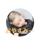 ほたここすたんぷ（個別スタンプ：10）