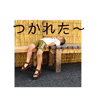 ほたここすたんぷ（個別スタンプ：16）