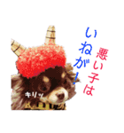 チワワの親子パリたんとあーちゃん♪（個別スタンプ：24）