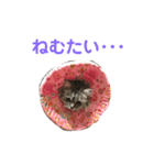 にゃんこkwi（個別スタンプ：7）