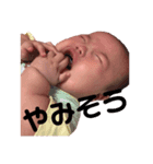 ちたんぷ（個別スタンプ：8）