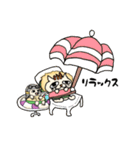 ふぁ～ニャいおん（個別スタンプ：31）