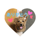はしもと こてつ。（個別スタンプ：6）