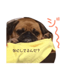 我が家のちび太2（個別スタンプ：16）