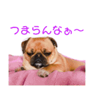 我が家のちび太2（個別スタンプ：20）