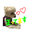 かわいいパルくん（個別スタンプ：1）