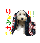 かわいいパルくん（個別スタンプ：2）
