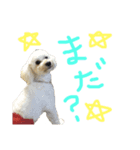 かわいいパルくん（個別スタンプ：4）