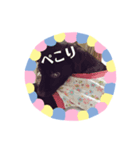 チョコラブのアモーレその2（個別スタンプ：2）