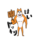 笑う犬のスタンプ（個別スタンプ：37）
