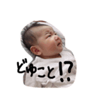 ここちゃんちゃん1（個別スタンプ：2）