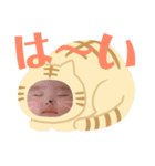 三宅さん家のしょーたくん（個別スタンプ：2）