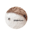 中村のスタンプです（個別スタンプ：3）