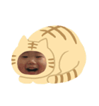 かんスタ（個別スタンプ：4）