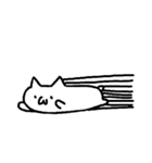 高速猫（個別スタンプ：4）