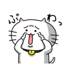 きもねこ in 岐阜（さらにおかわり）（個別スタンプ：4）