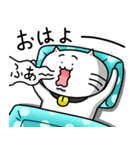 きもねこ in 岐阜（さらにおかわり）（個別スタンプ：16）