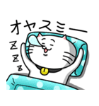 きもねこ in 岐阜（さらにおかわり）（個別スタンプ：17）