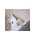 ミニうさぎのそーちゃん（個別スタンプ：9）