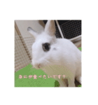 ミニうさぎのそーちゃん（個別スタンプ：15）