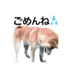 ソラくん。（個別スタンプ：1）