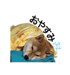 ソラくん。（個別スタンプ：2）