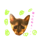 使えるスタンプ※いぬ※ねこ（個別スタンプ：1）