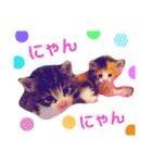 使えるスタンプ※いぬ※ねこ（個別スタンプ：27）