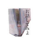 チンチラのぽにょちゃん（個別スタンプ：23）