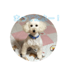 ルイレイの毎日（個別スタンプ：2）
