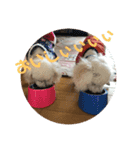 ルイレイの毎日（個別スタンプ：4）