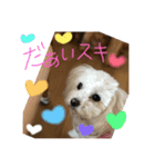 ルイレイの毎日（個別スタンプ：8）