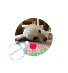 ルイレイの毎日（個別スタンプ：10）