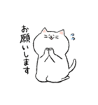 だいたい笑顔ねこ：家族の会話（個別スタンプ：3）