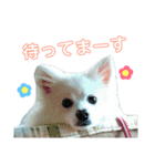 ゆきちゃん2（個別スタンプ：3）