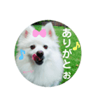 ゆきちゃん2（個別スタンプ：8）