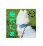 ゆきちゃん2（個別スタンプ：10）