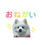 ゆきちゃん2（個別スタンプ：11）